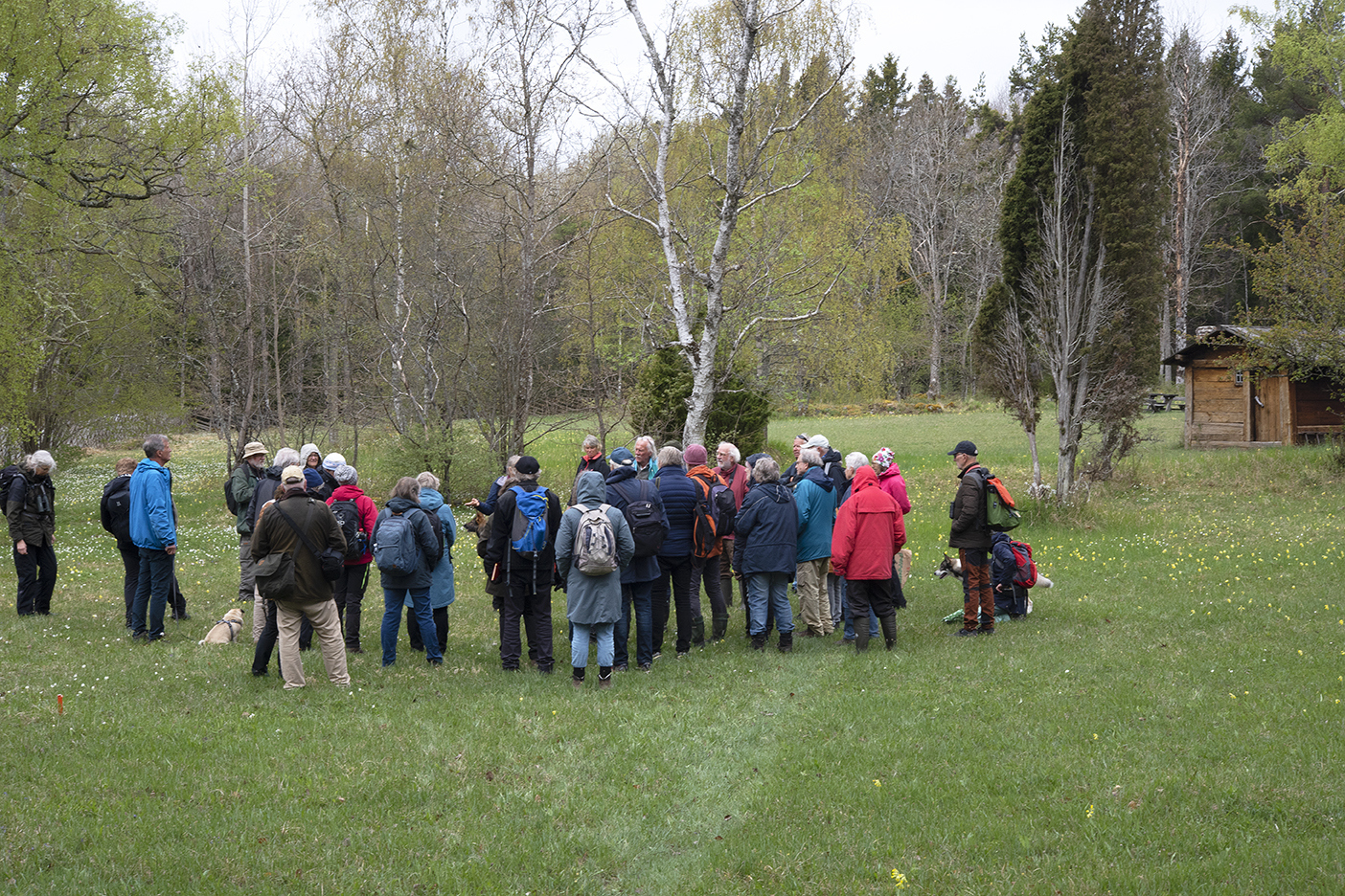 Exkursionsdeltagare-i-Liste-angar-Foto-M-Westerlind