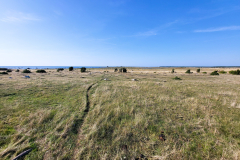 Strandäng Vakten