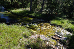 Vitärtskällan